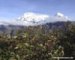 Annapurna Ranges  » Click to zoom ->